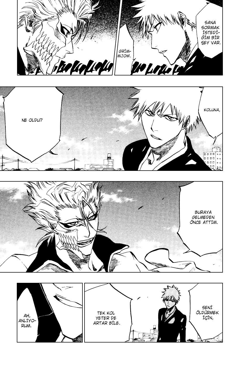 Read Bleach TR Manga Online