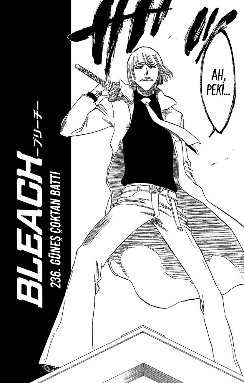 Read Bleach TR Manga Online