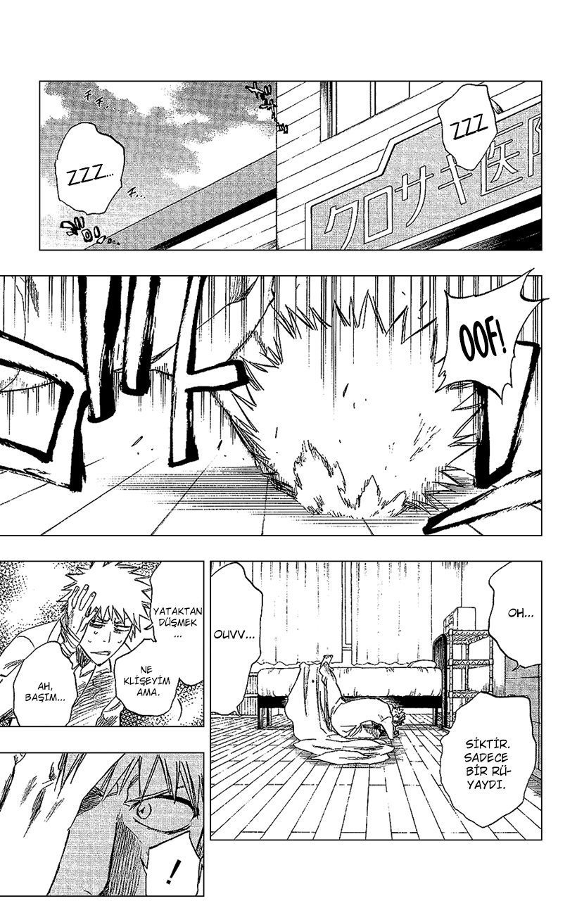 Read Bleach TR Manga Online