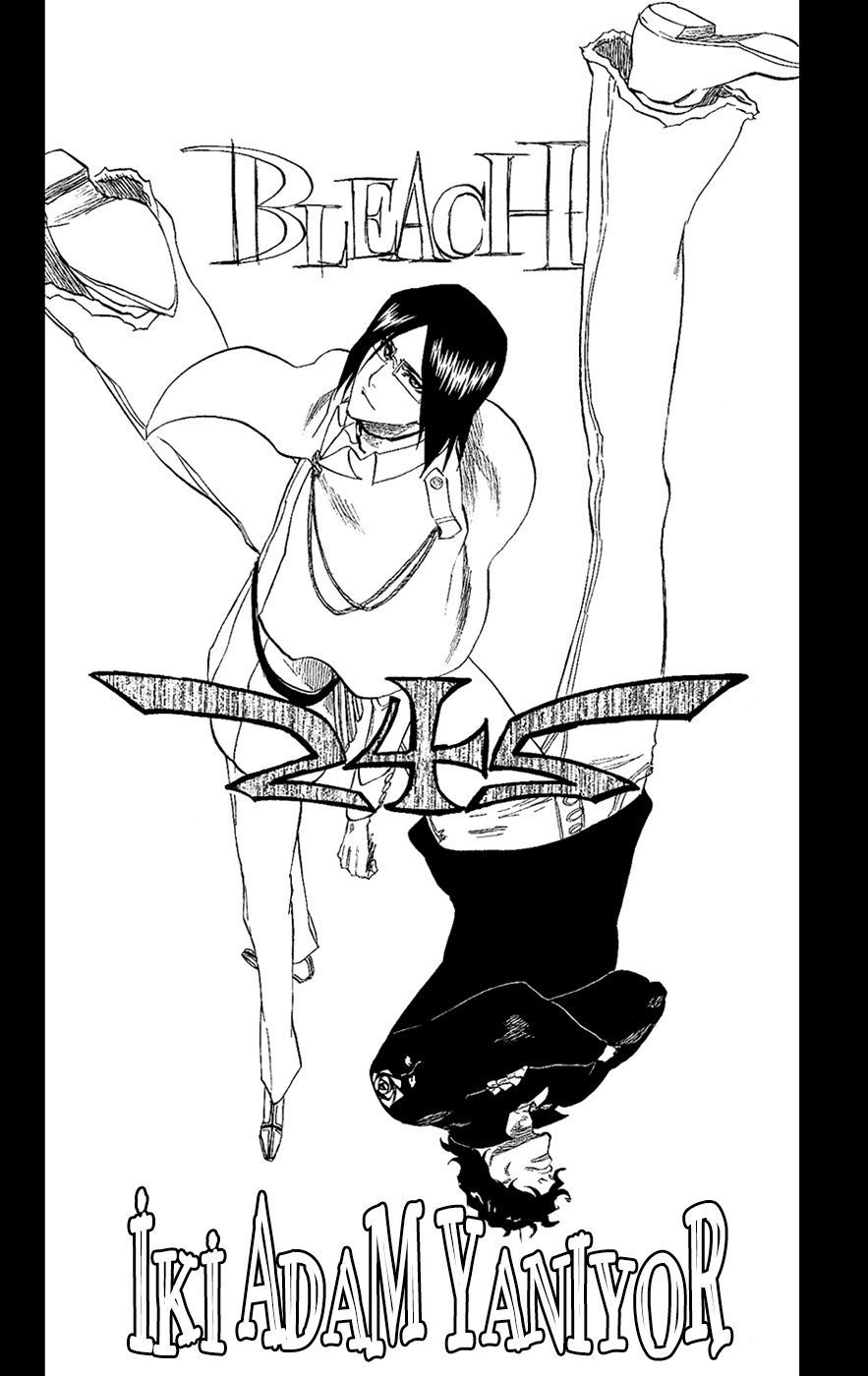 Read Bleach TR Manga Online