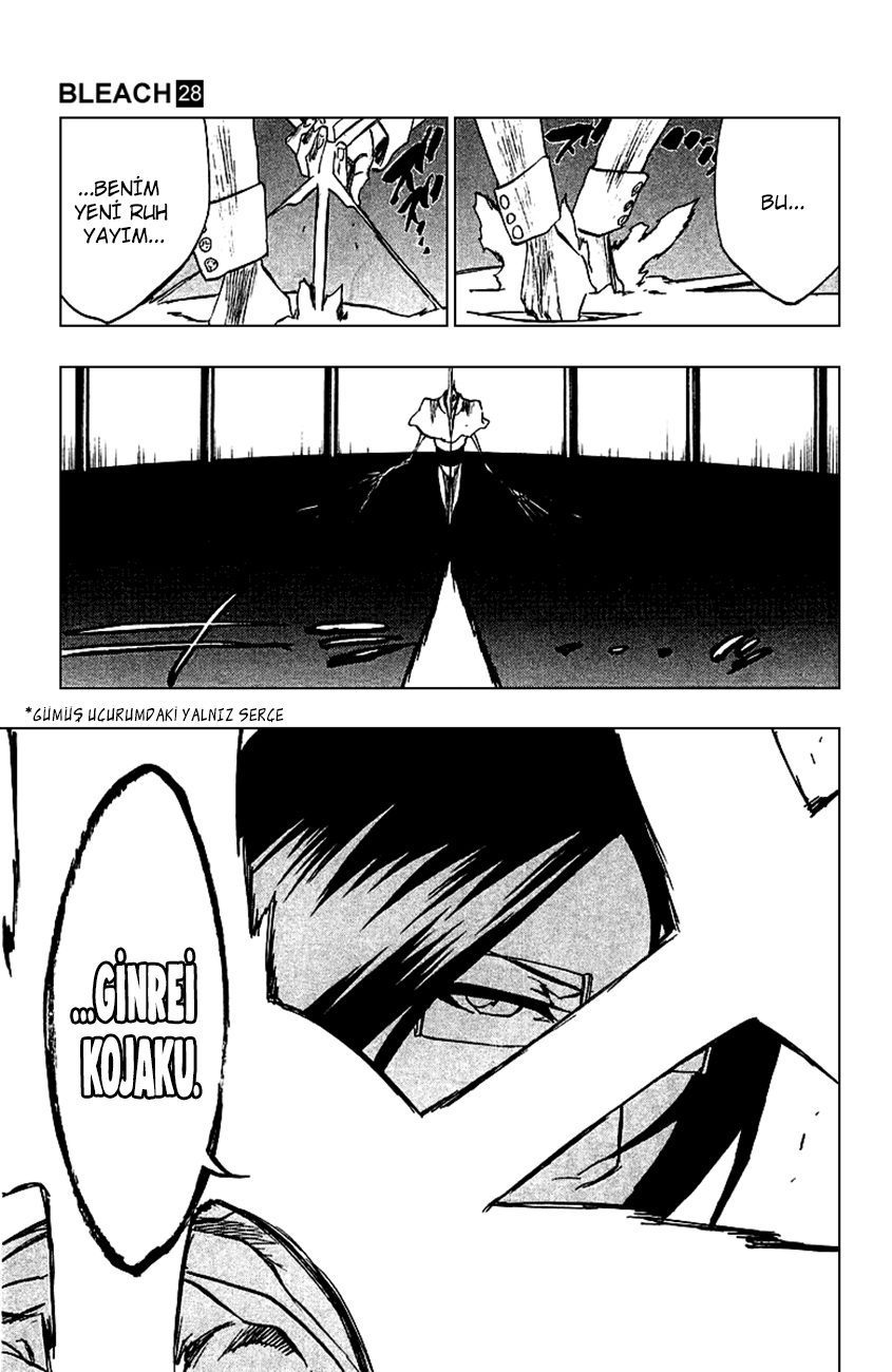 Read Bleach TR Manga Online
