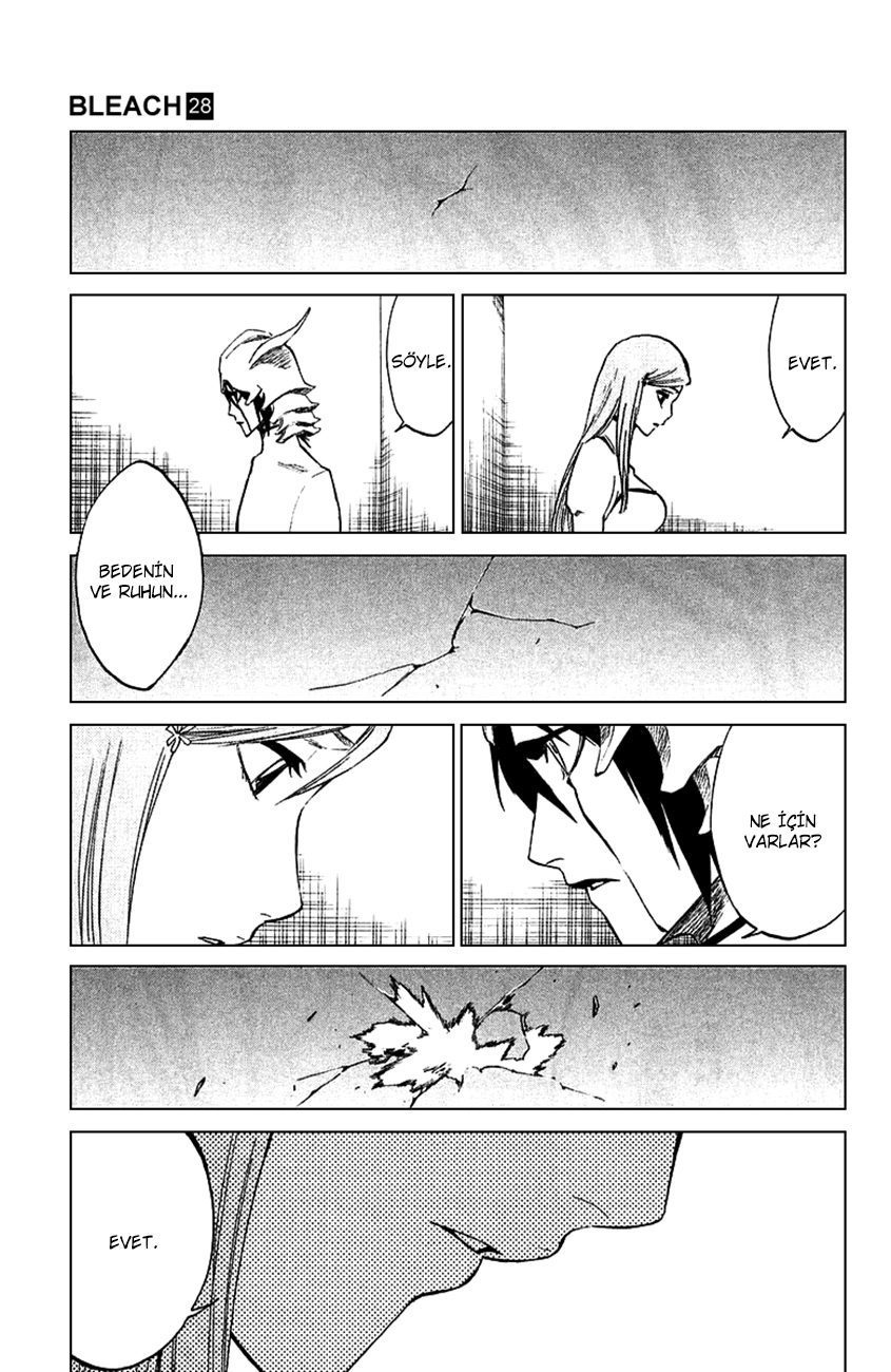 Read Bleach TR Manga Online