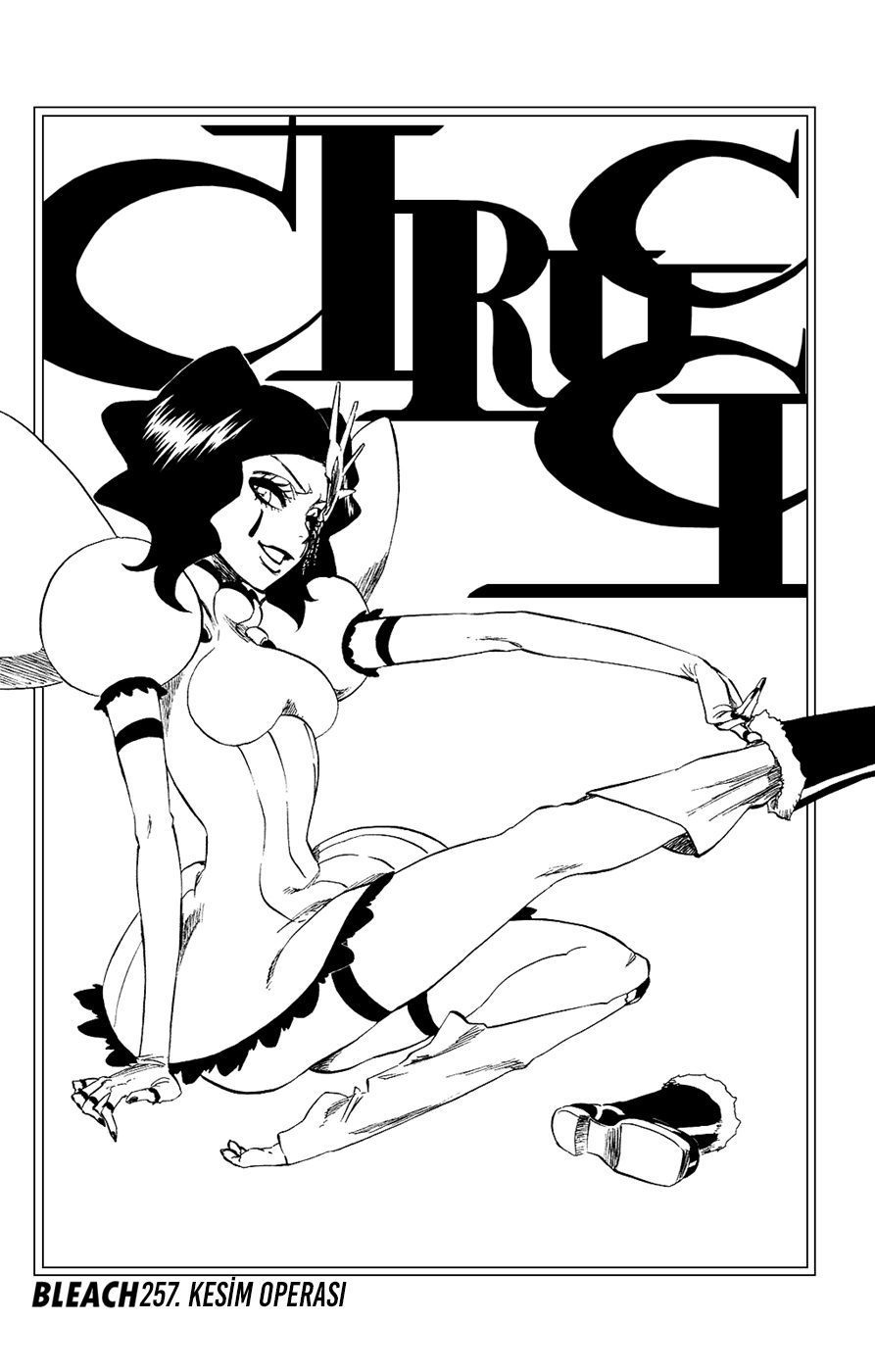 Read Bleach TR Manga Online