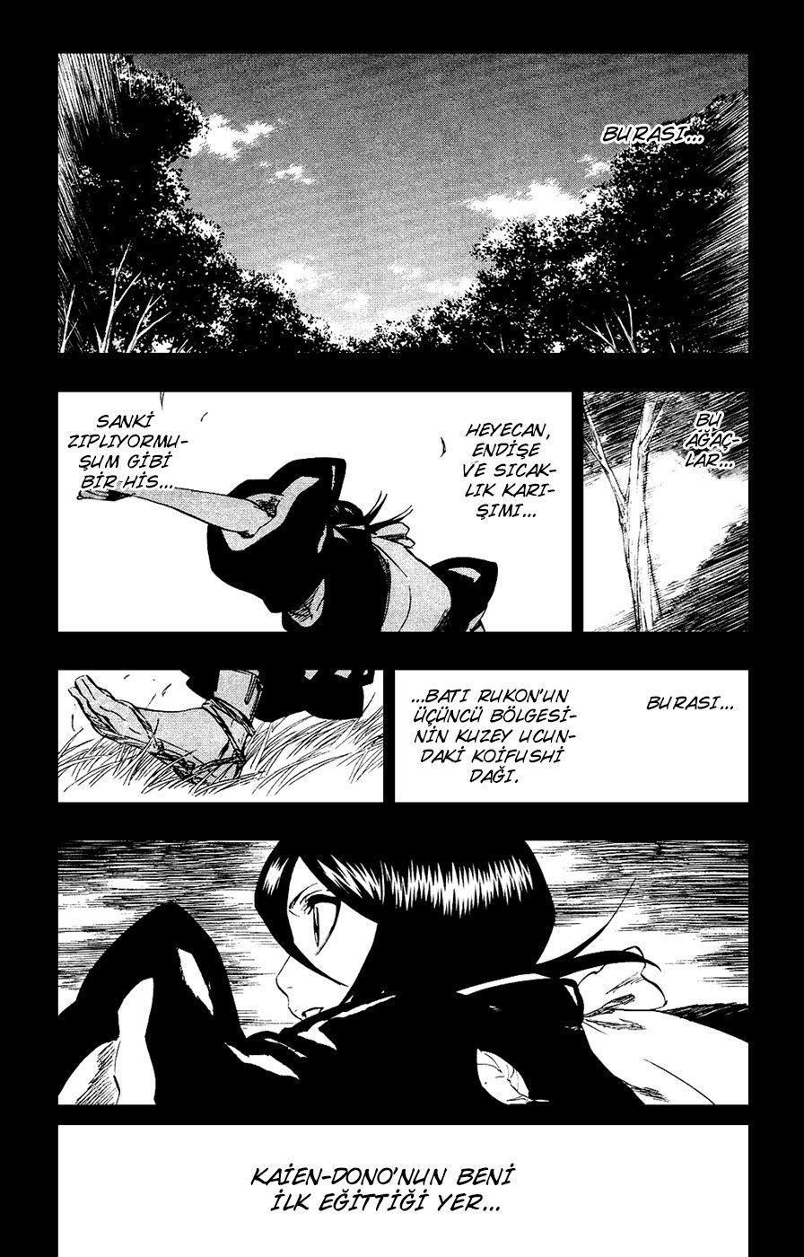 Read Bleach TR Manga Online