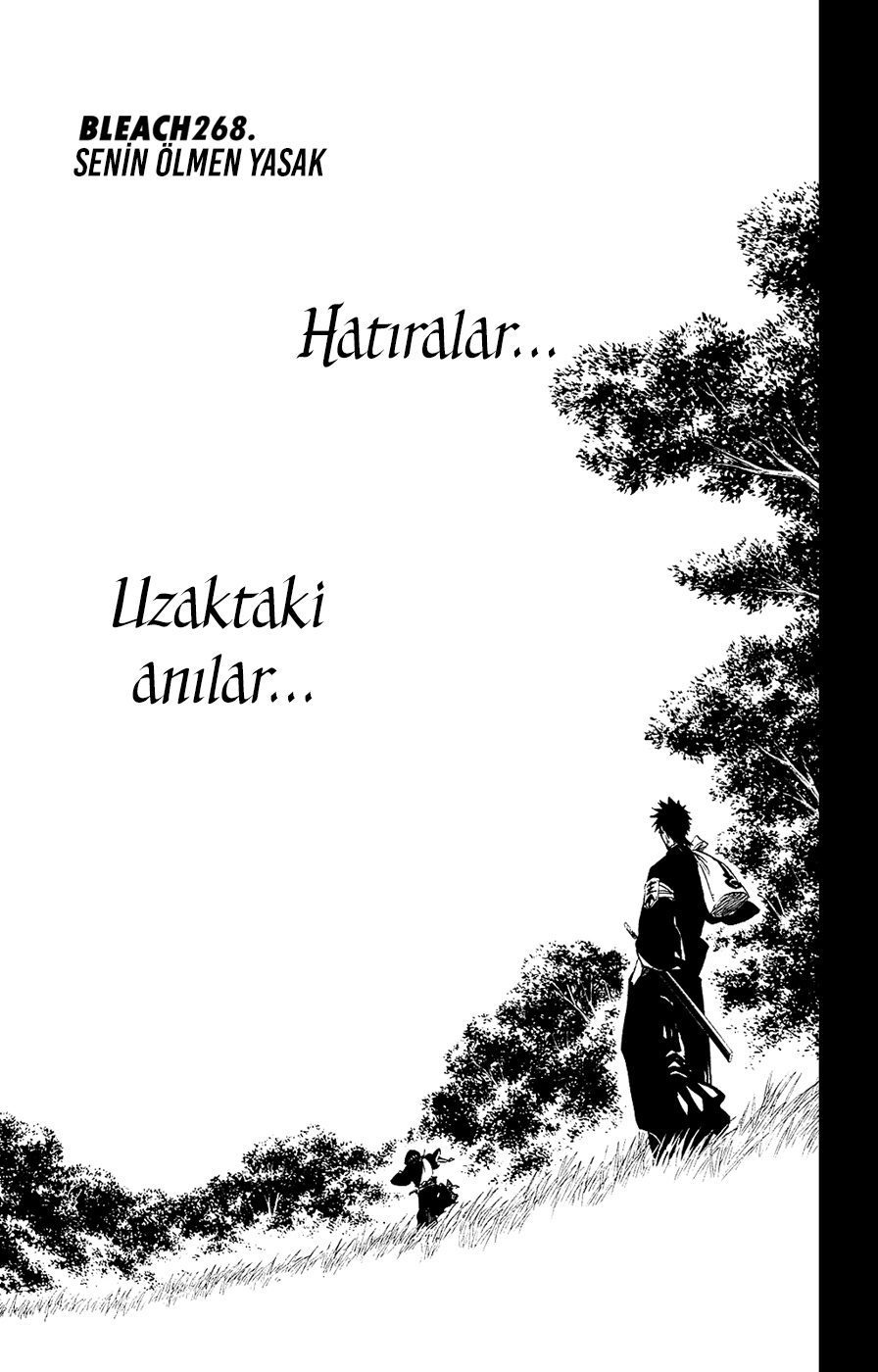 Read Bleach TR Manga Online