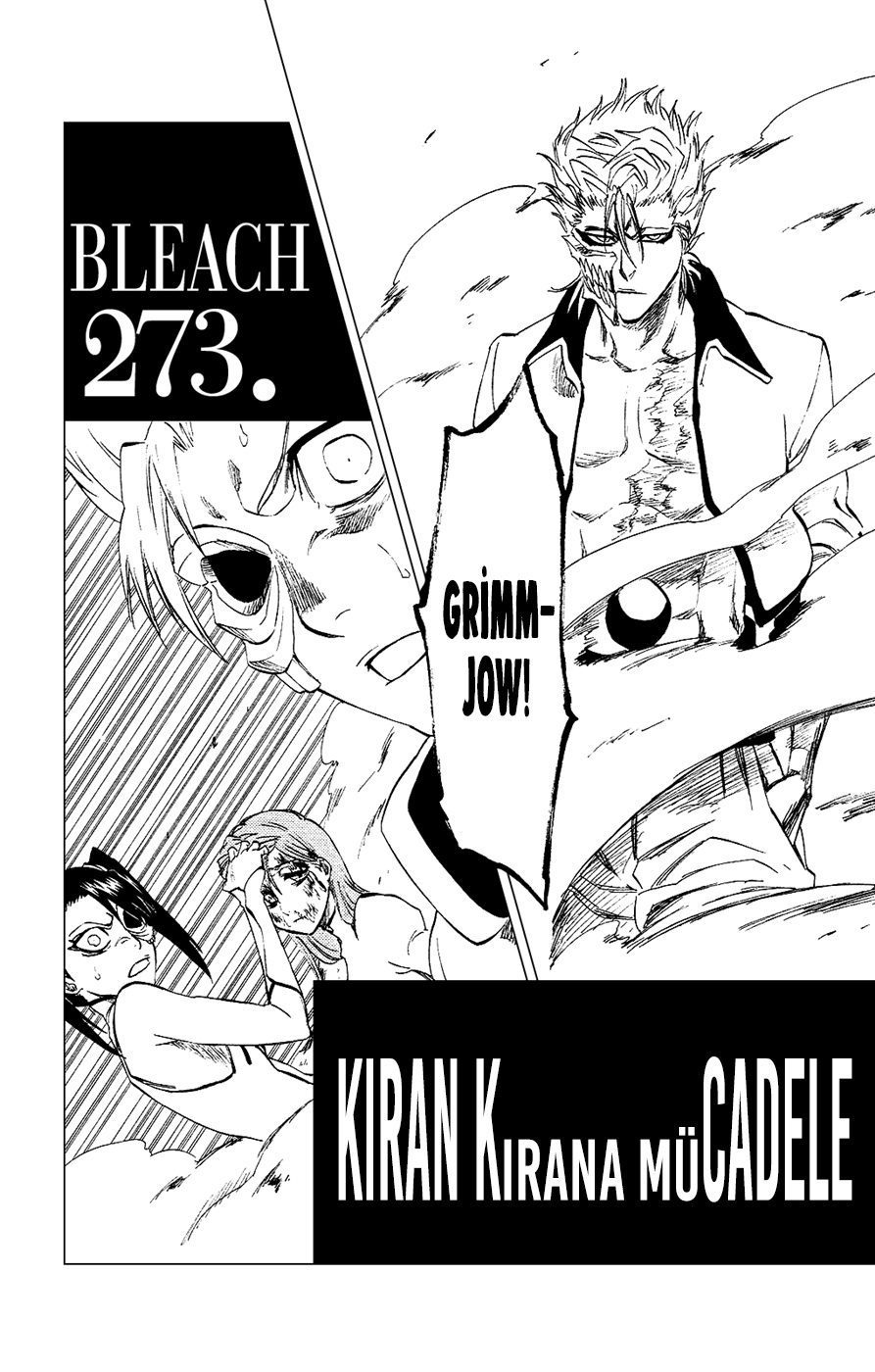 Read Bleach TR Manga Online