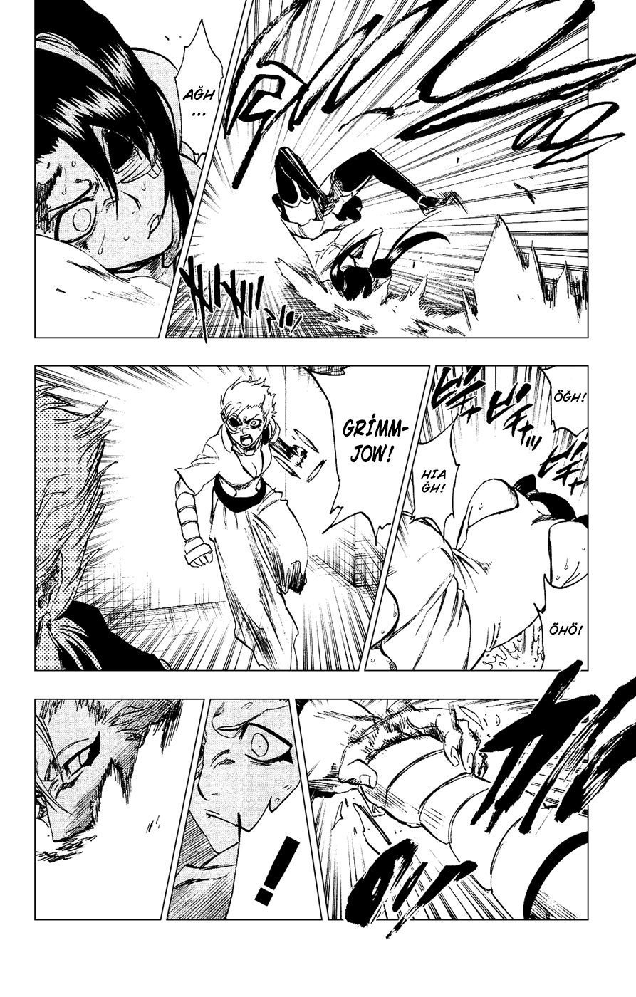 Read Bleach TR Manga Online