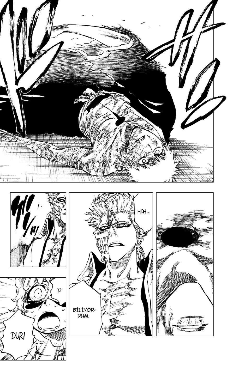Read Bleach TR Manga Online