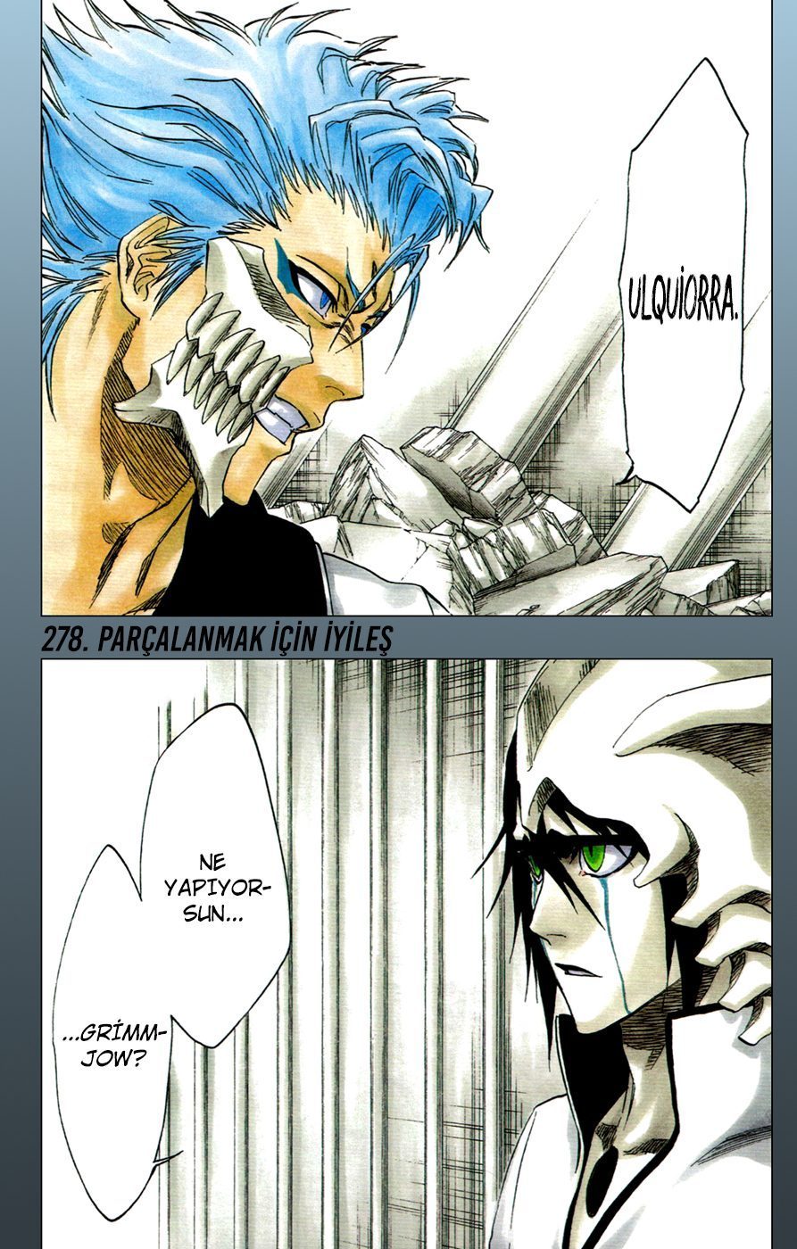 Read Bleach TR Manga Online