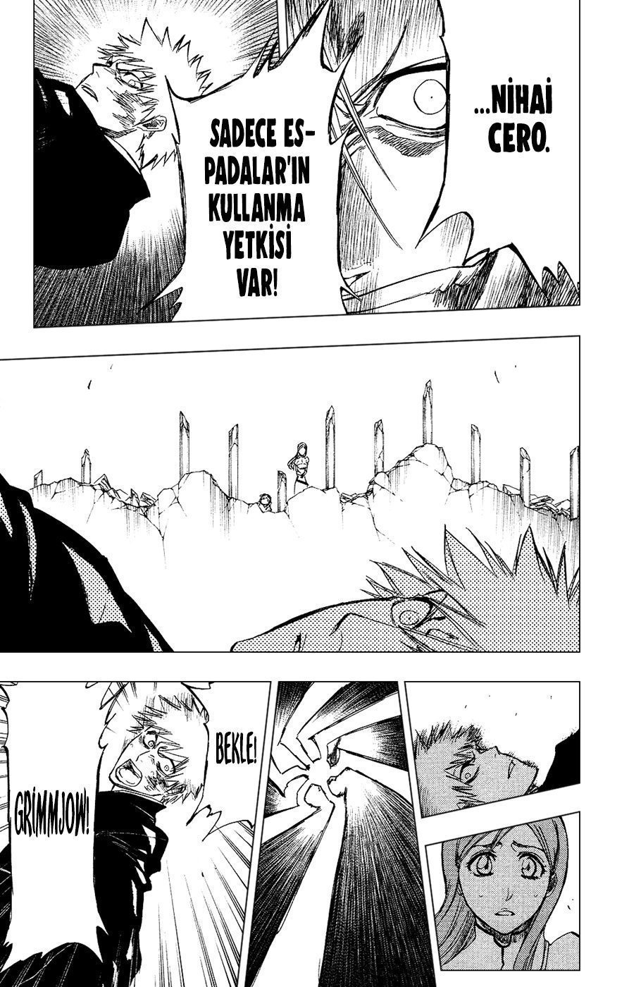 Read Bleach TR Manga Online