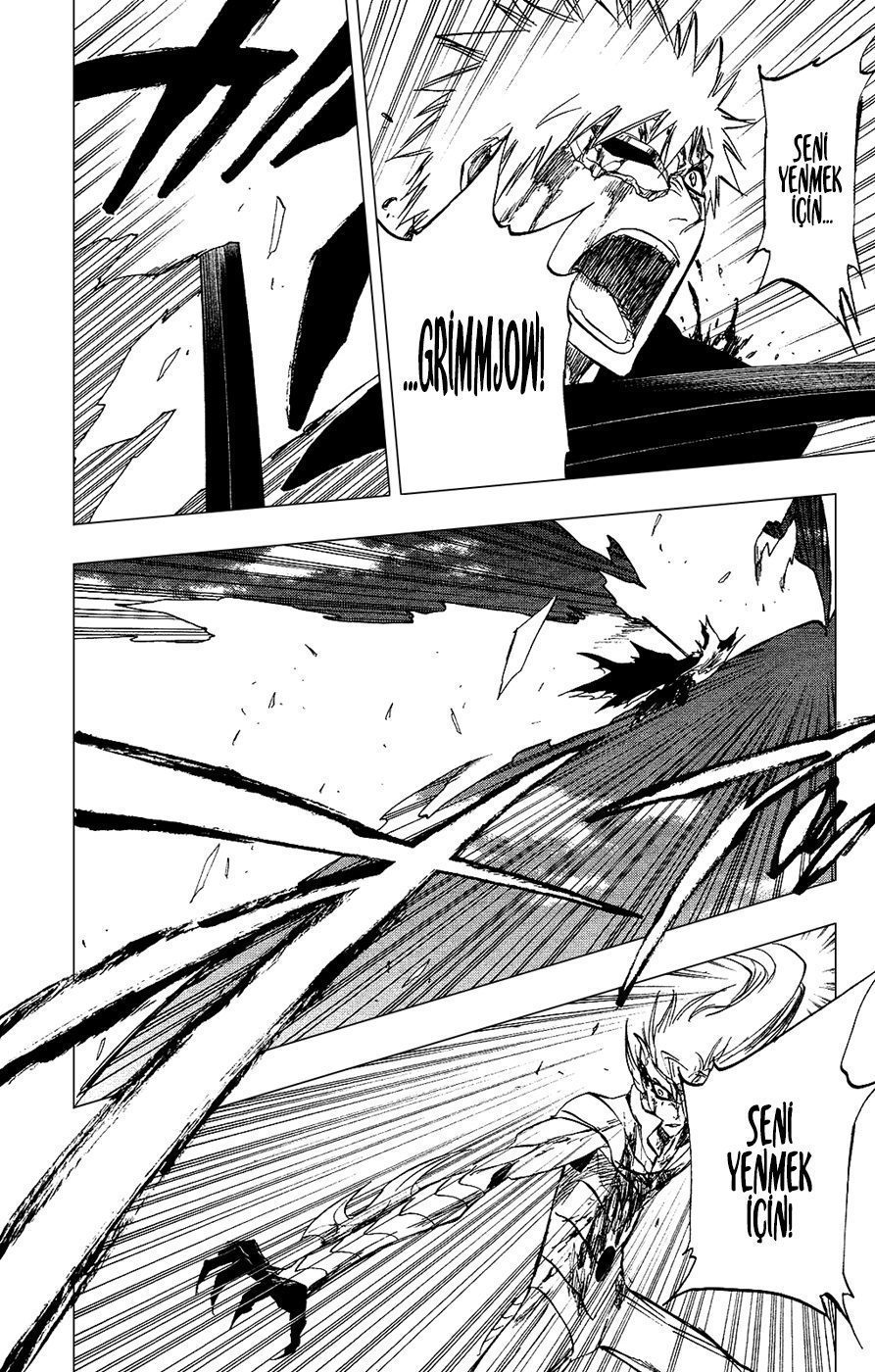 Read Bleach TR Manga Online