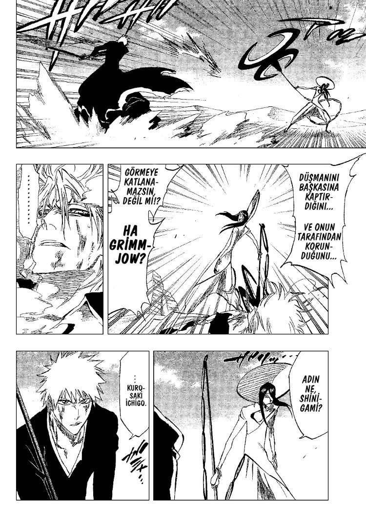 Read Bleach TR Manga Online