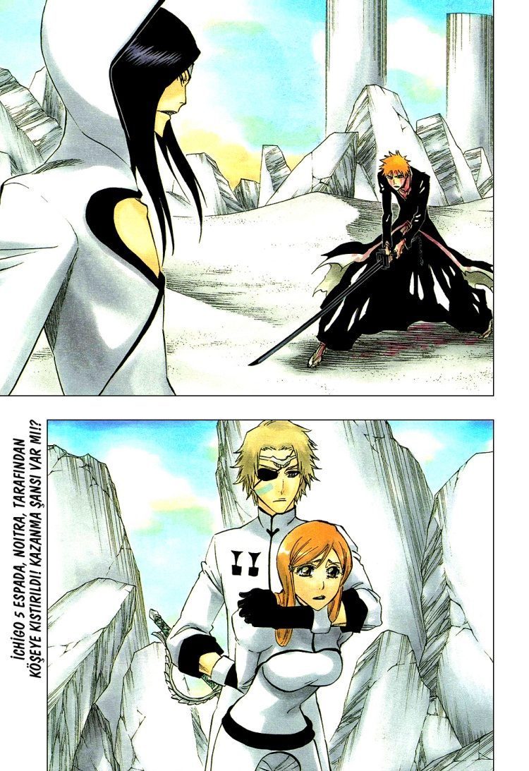 Read Bleach TR Manga Online
