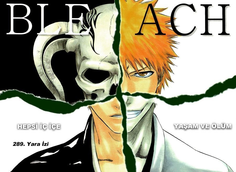 Read Bleach TR Manga Online