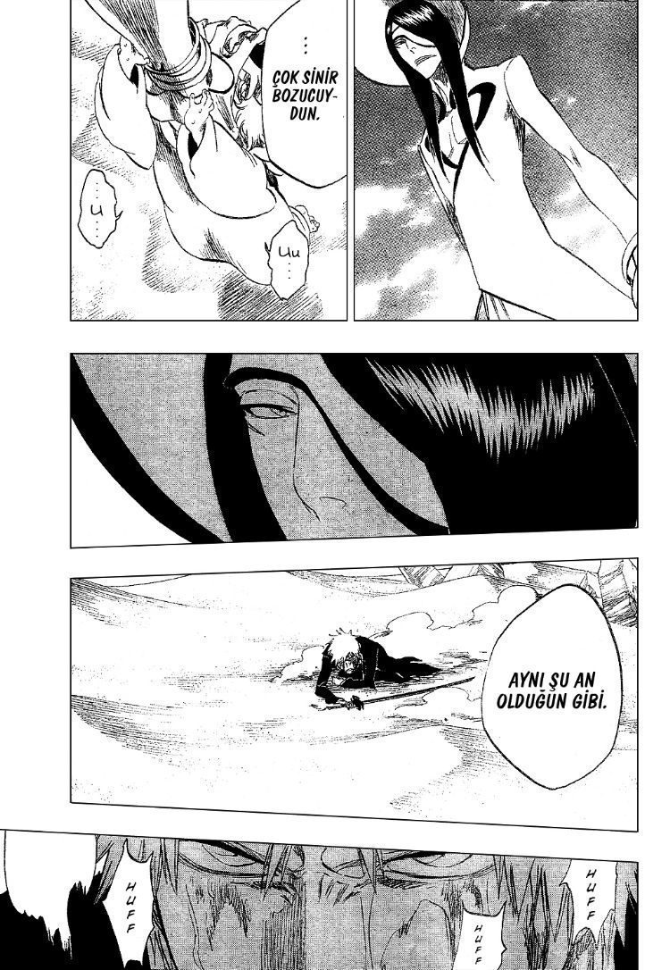 Read Bleach TR Manga Online