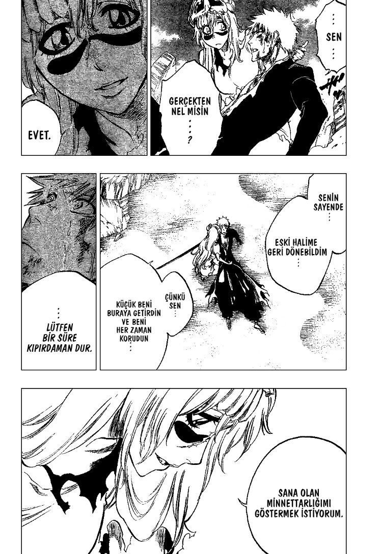 Read Bleach TR Manga Online