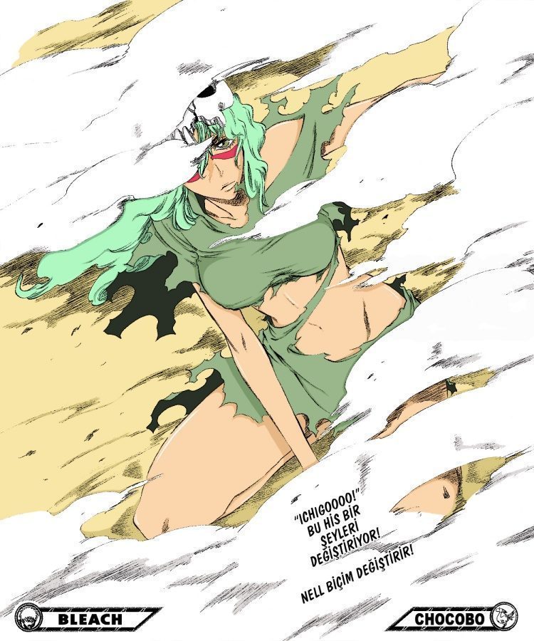Read Bleach TR Manga Online