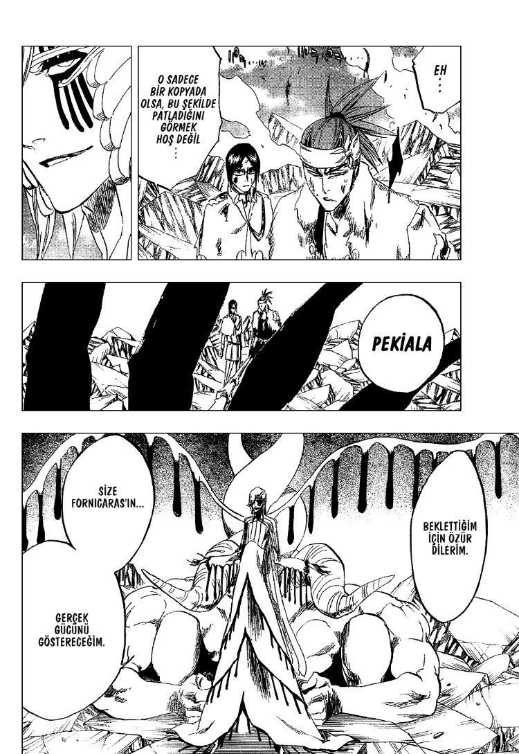 Read Bleach TR Manga Online