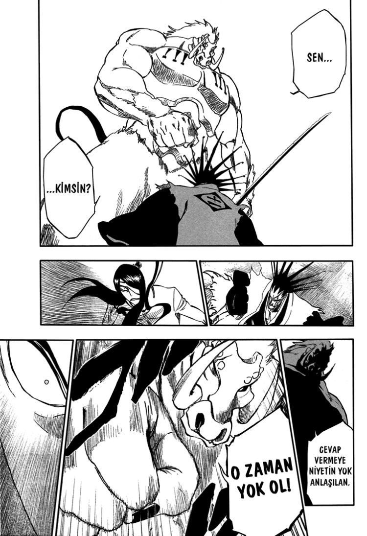 Read Bleach TR Manga Online