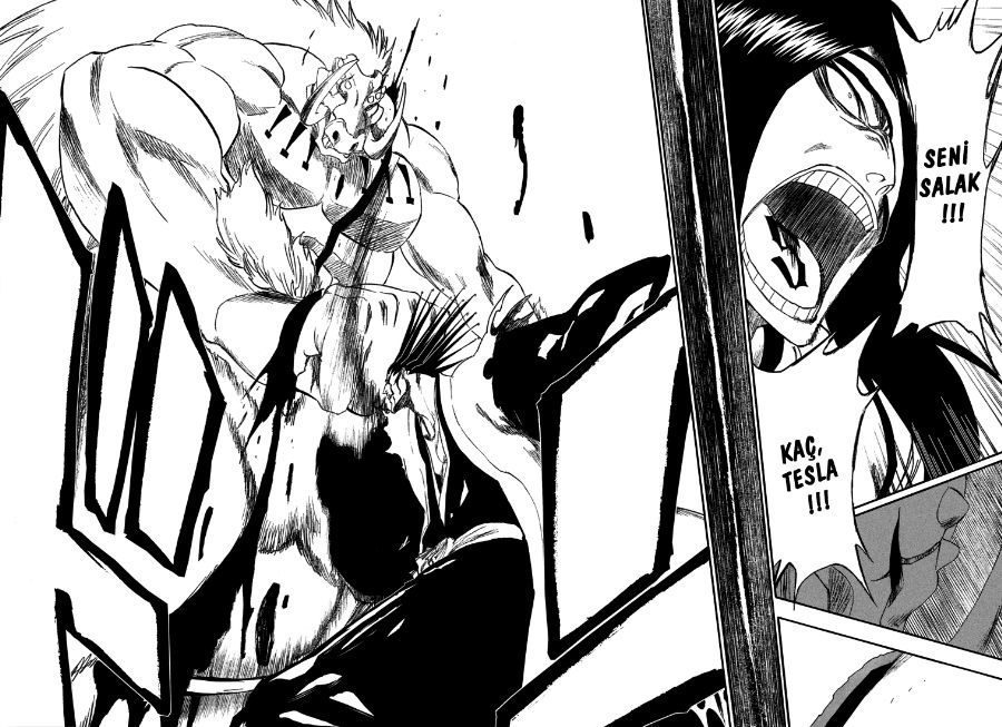 Read Bleach TR Manga Online
