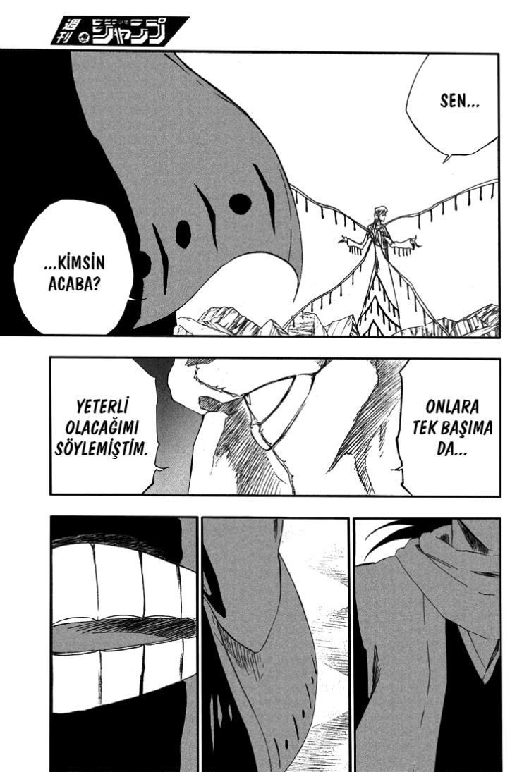 Read Bleach TR Manga Online