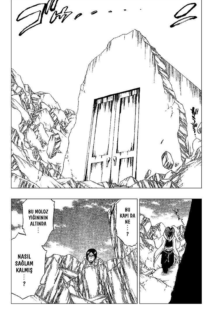 Read Bleach TR Manga Online