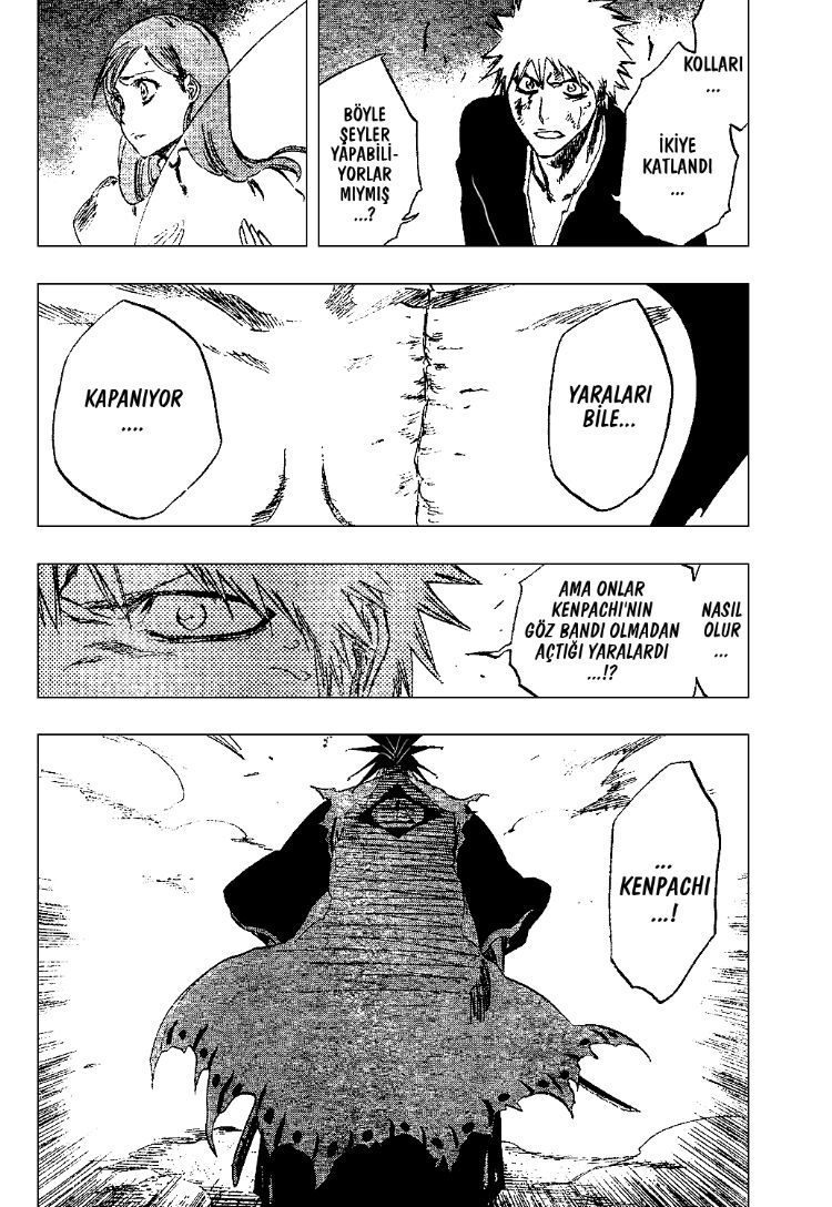 Read Bleach TR Manga Online