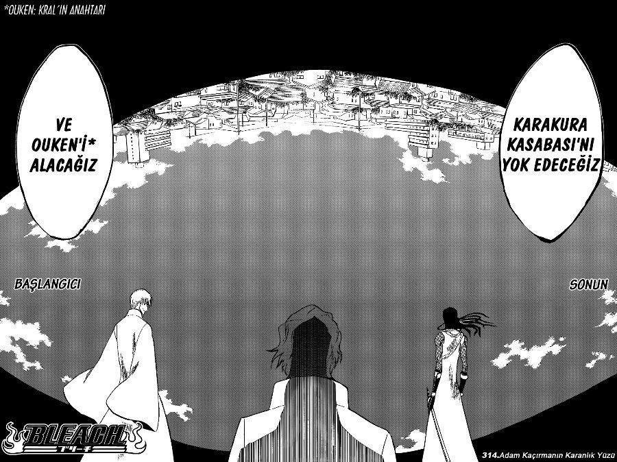 Read Bleach TR Manga Online