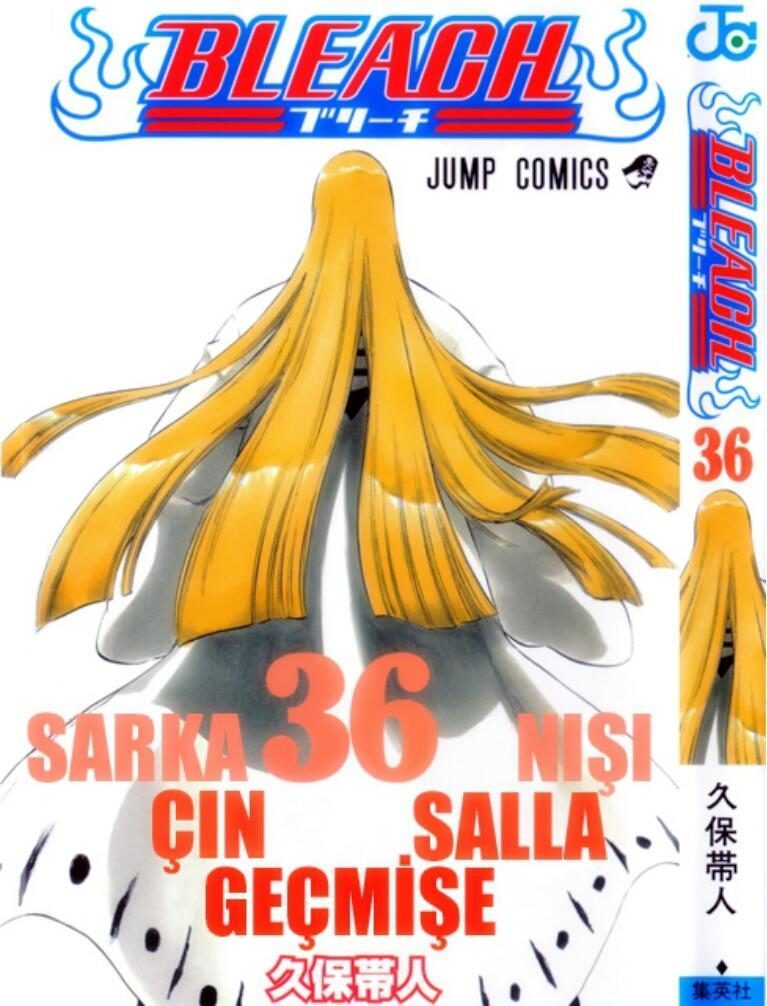 Read Bleach TR Manga Online