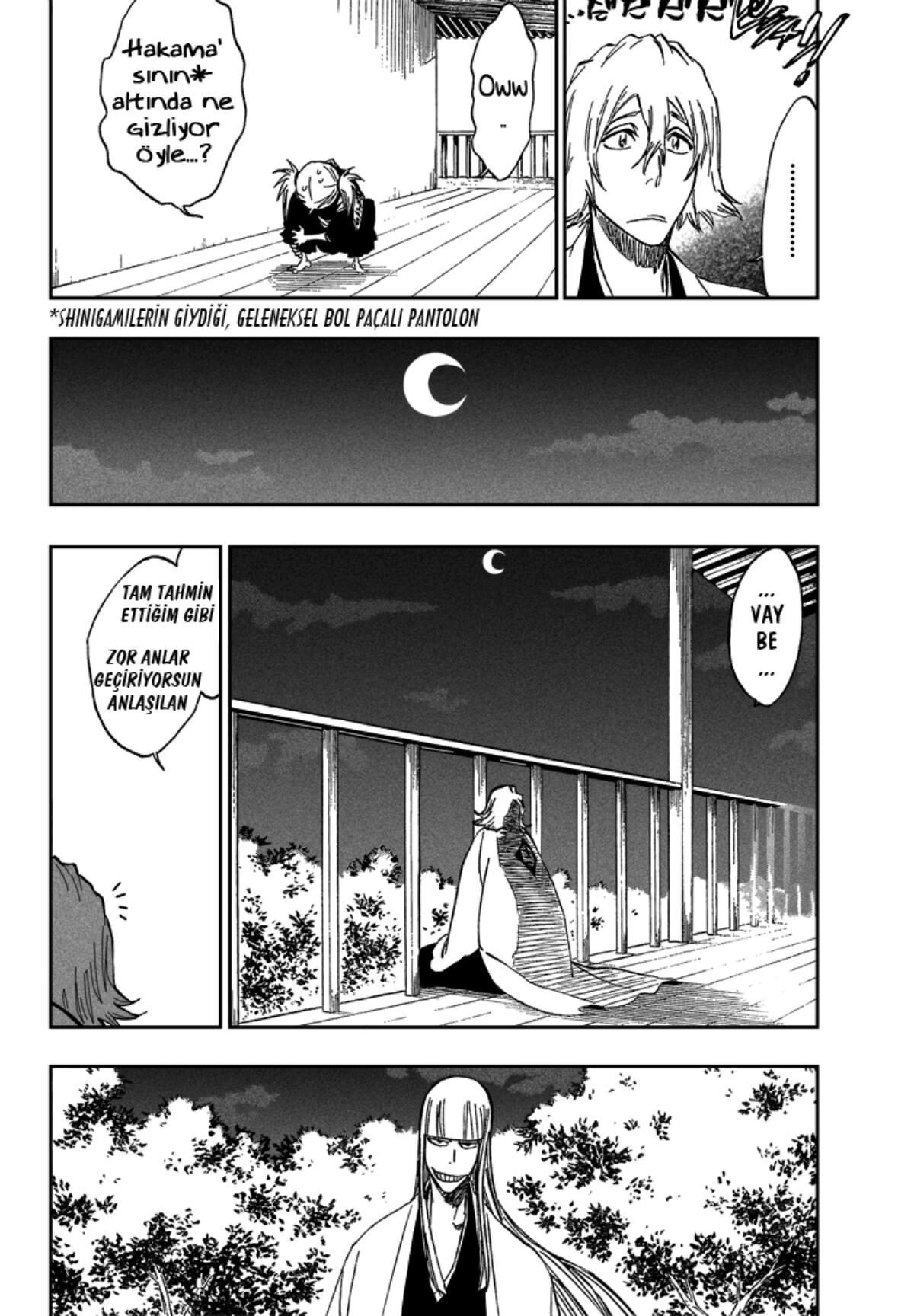 Read Bleach TR Manga Online