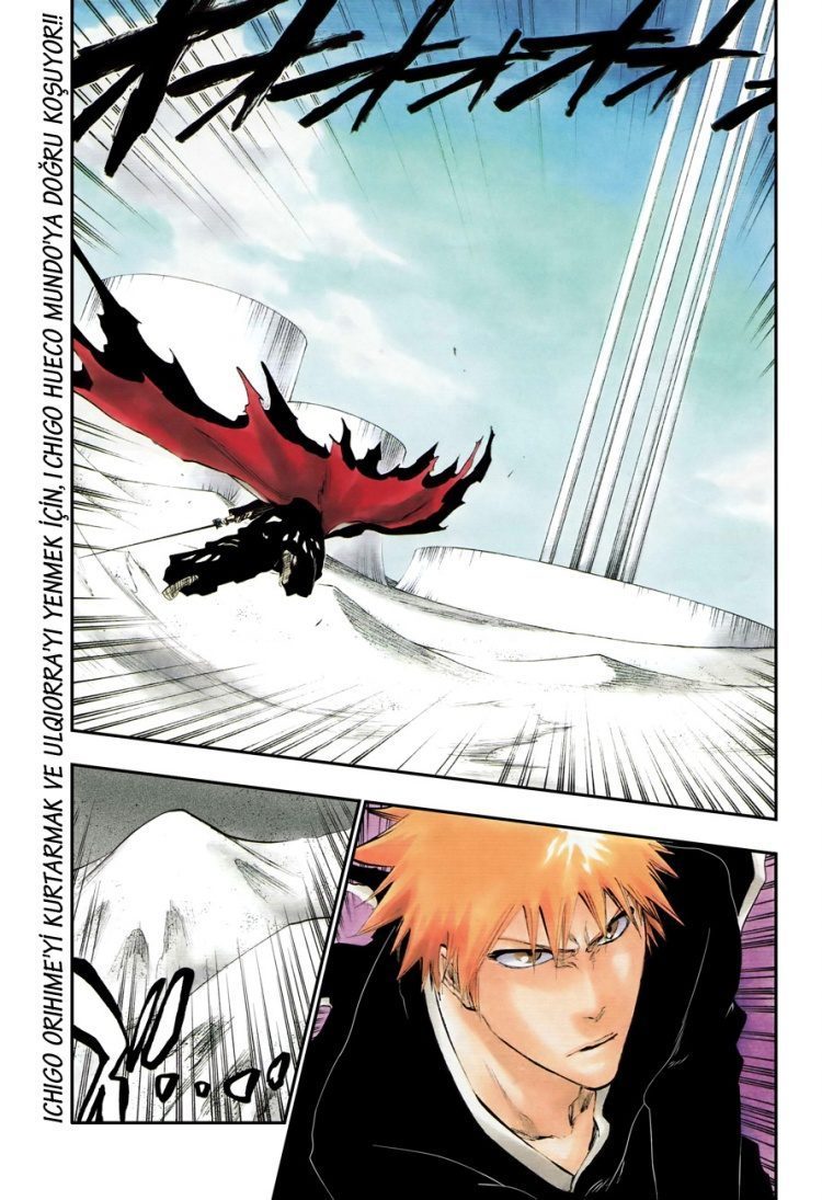 Read Bleach TR Manga Online