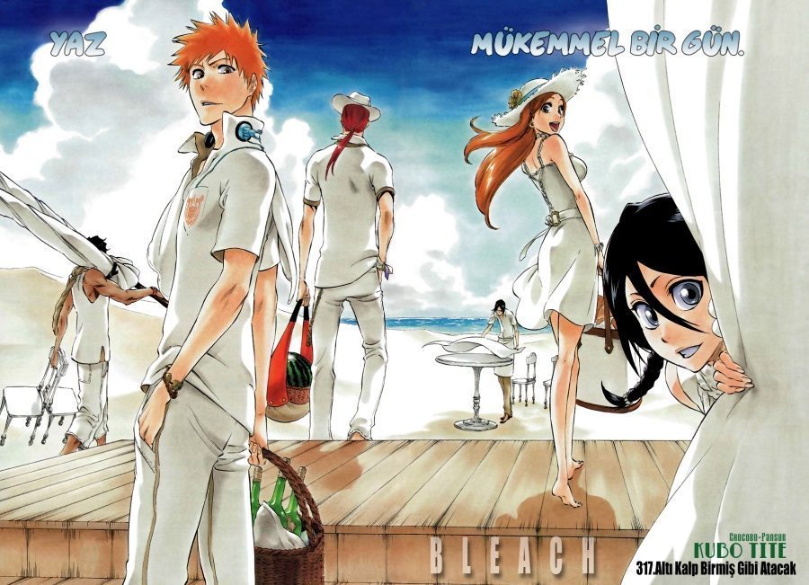 Read Bleach TR Manga Online