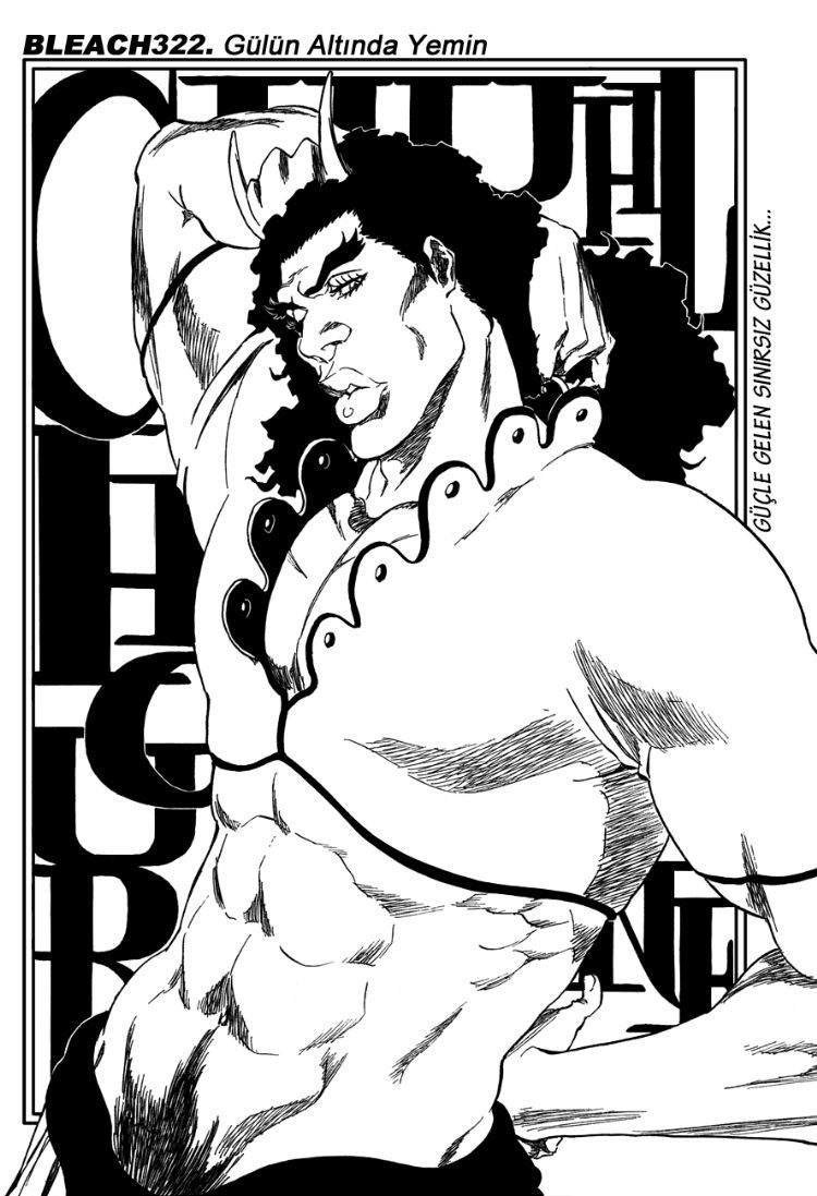 Read Bleach TR Manga Online