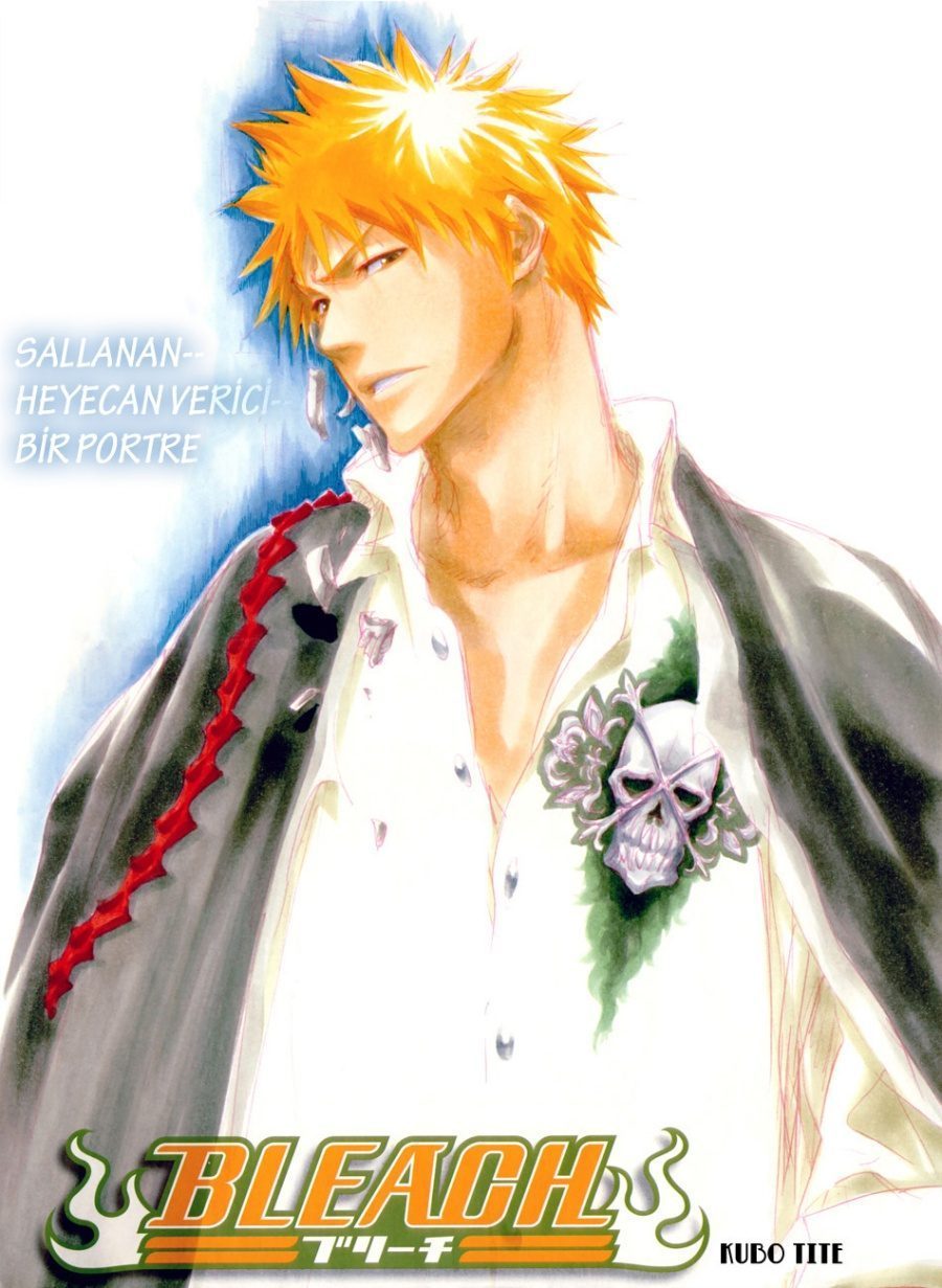 Read Bleach TR Manga Online