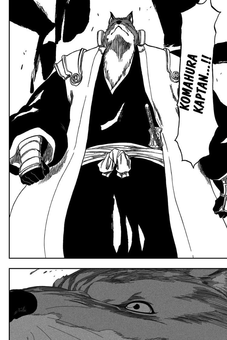 Read Bleach TR Manga Online