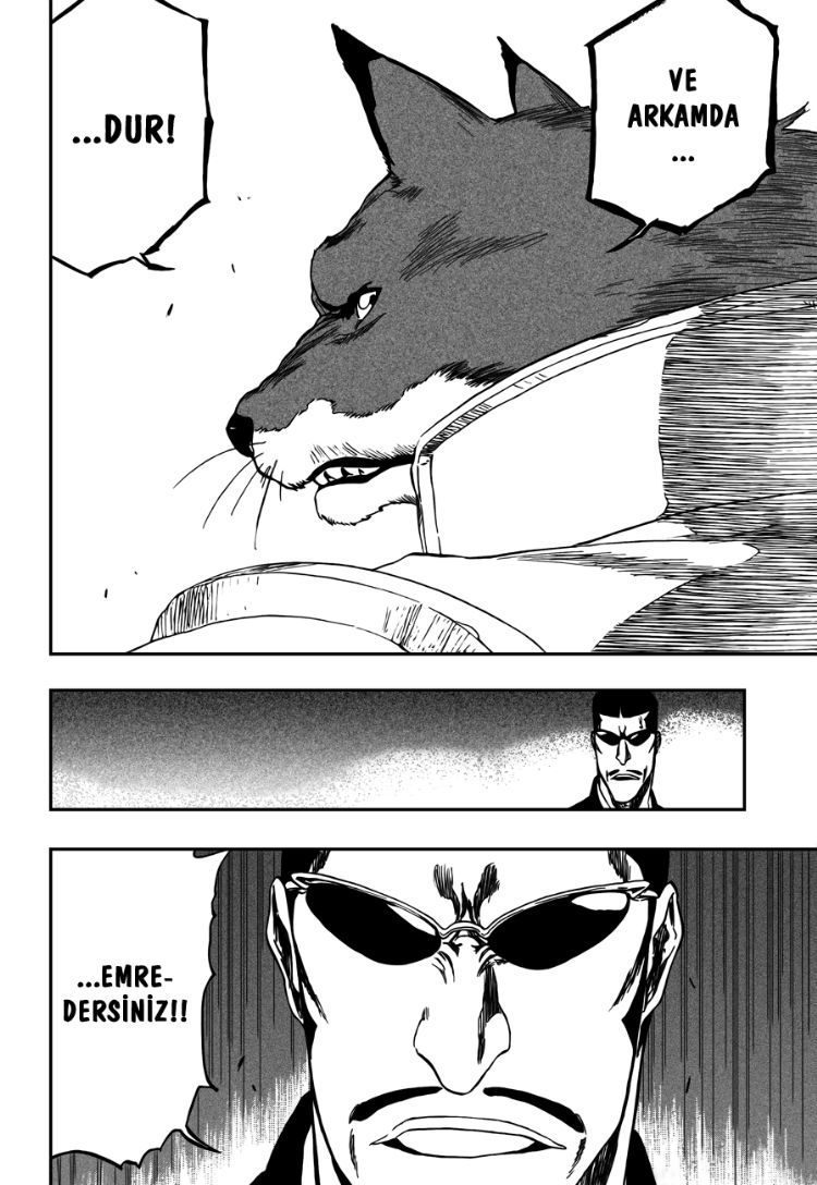 Read Bleach TR Manga Online