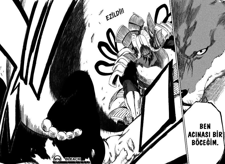 Read Bleach TR Manga Online