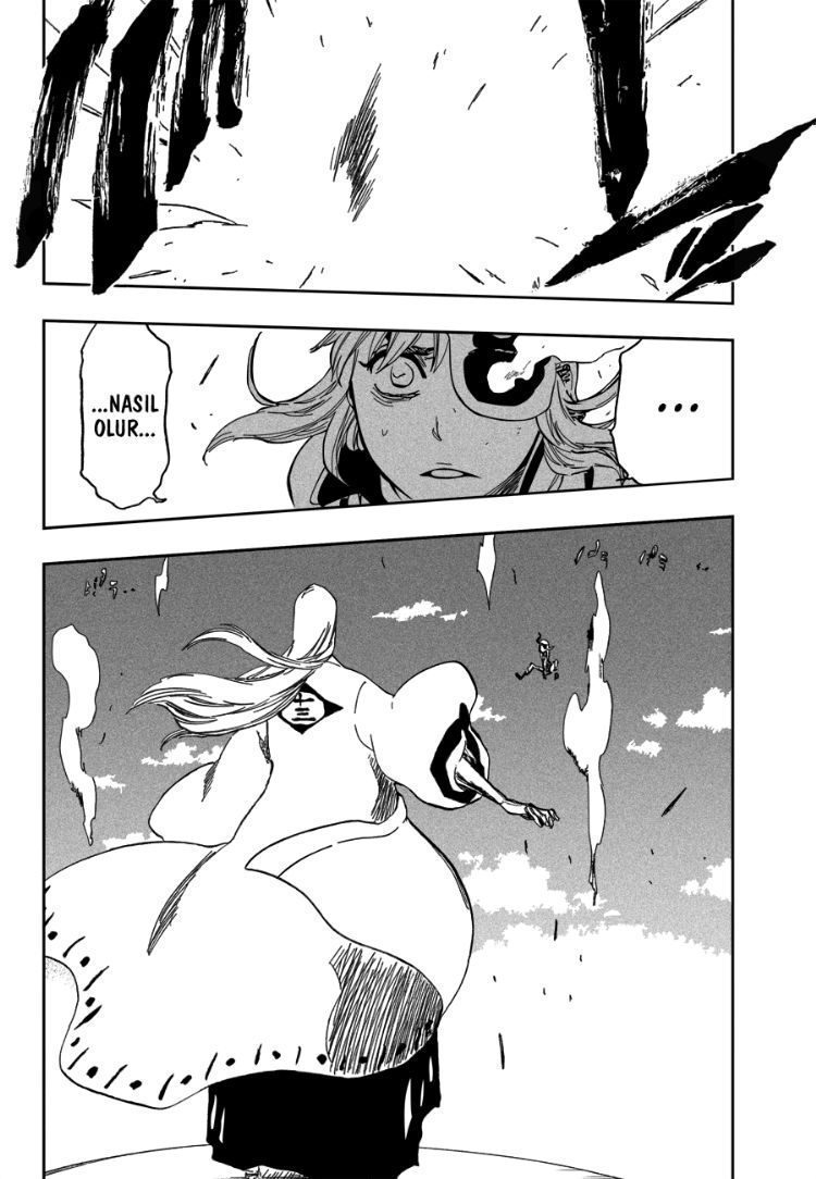 Read Bleach TR Manga Online