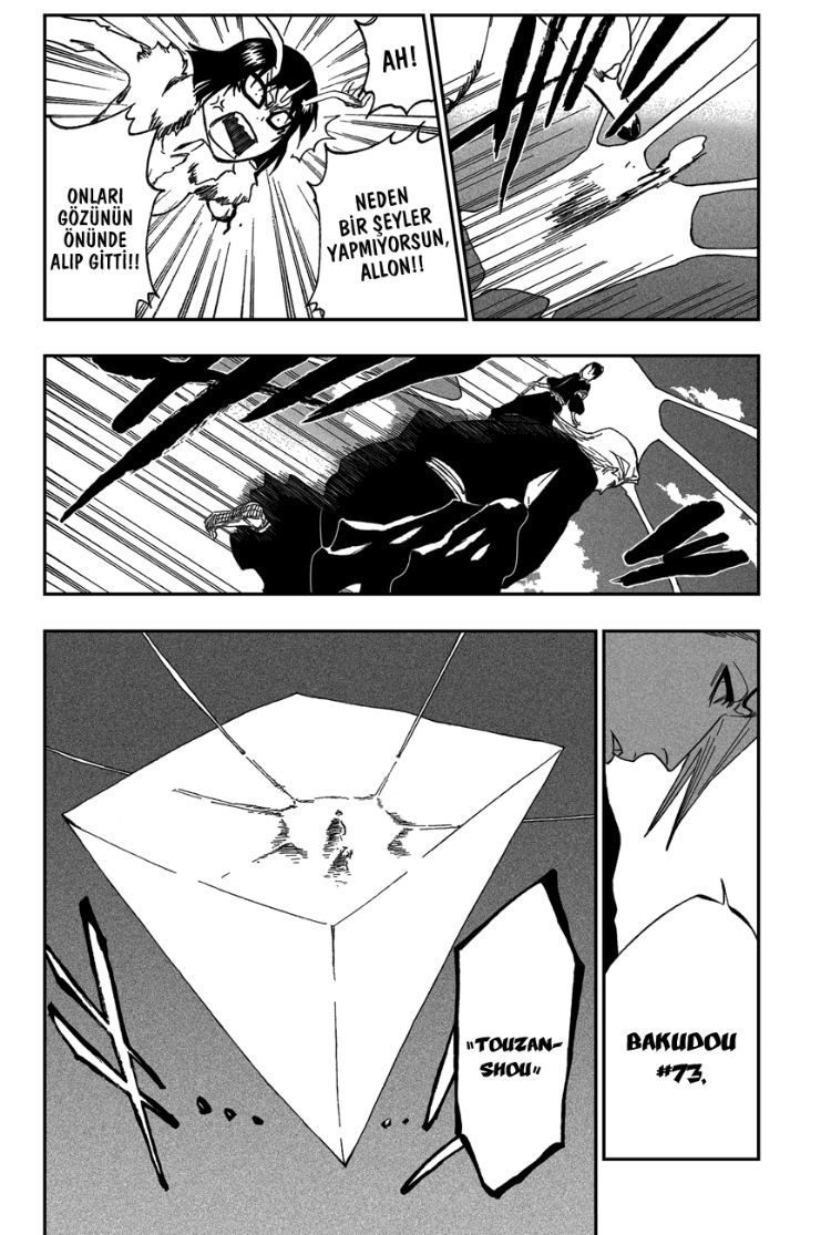 Read Bleach TR Manga Online