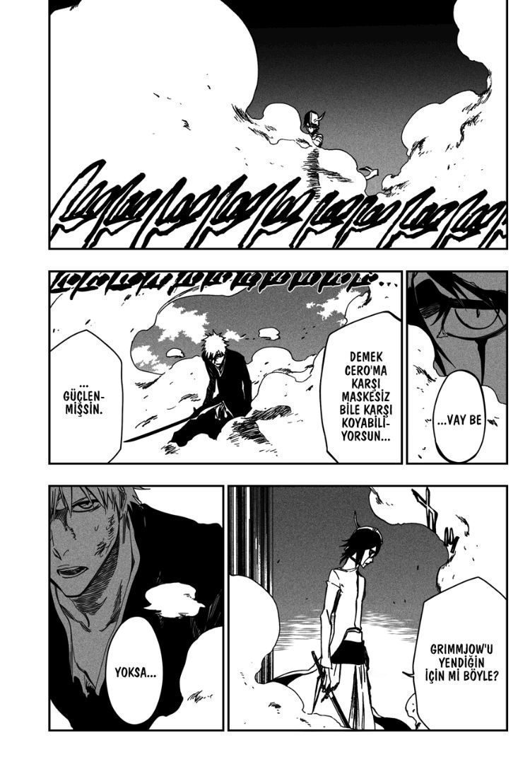 Read Bleach TR Manga Online