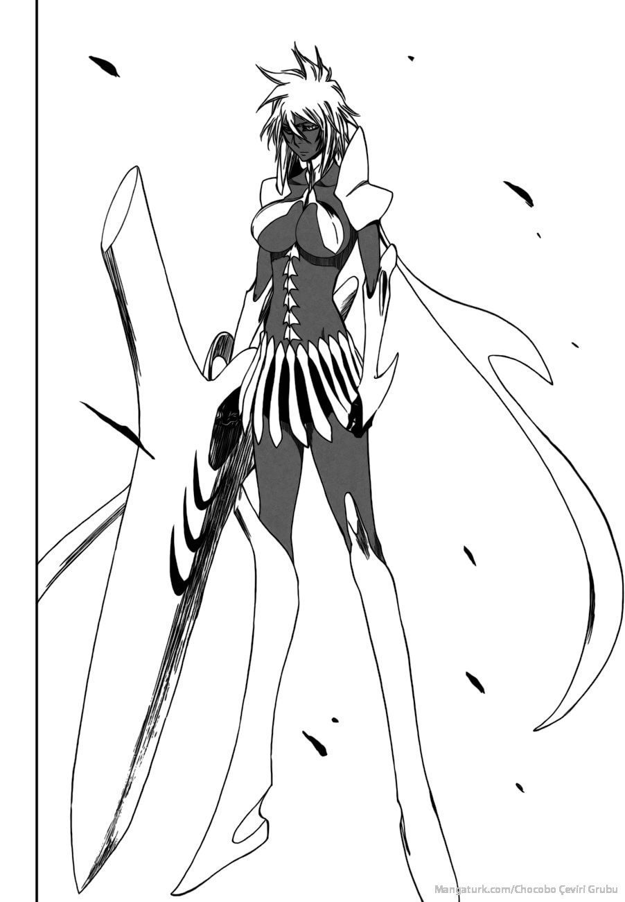 Read Bleach TR Manga Online