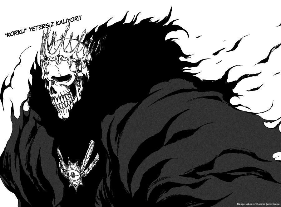 Read Bleach TR Manga Online
