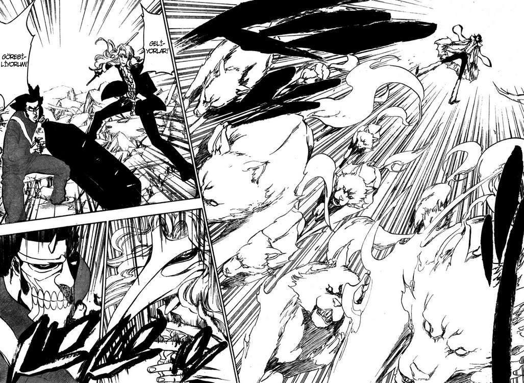 Read Bleach TR Manga Online