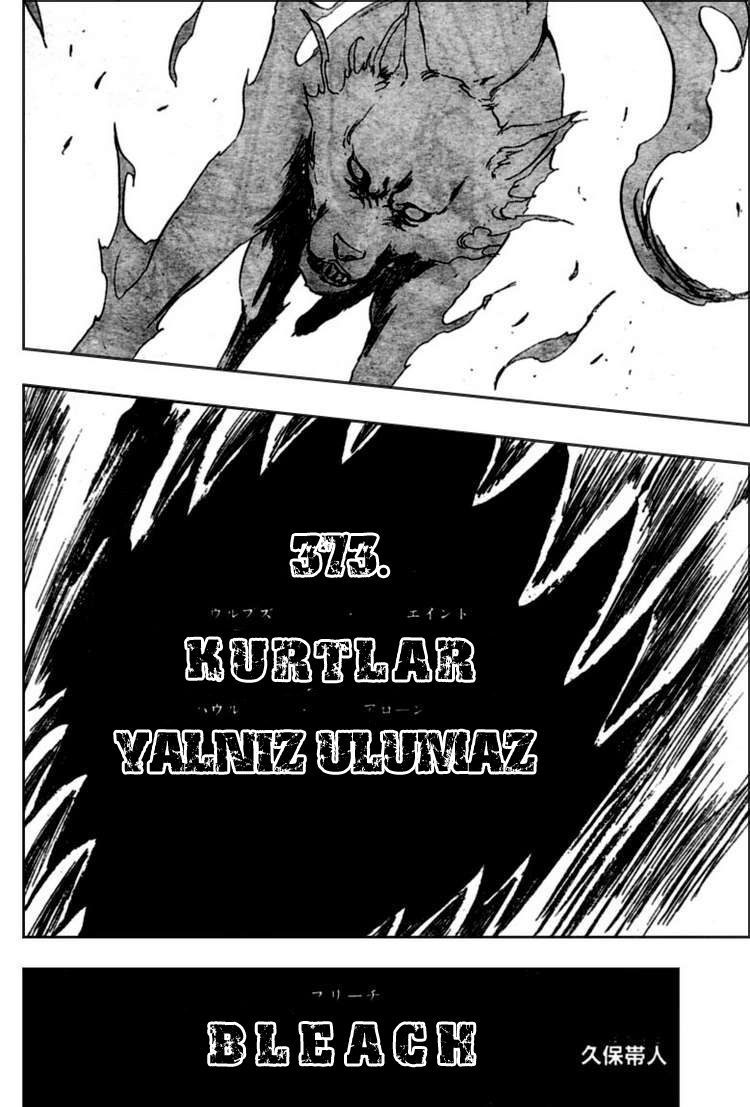 Read Bleach TR Manga Online
