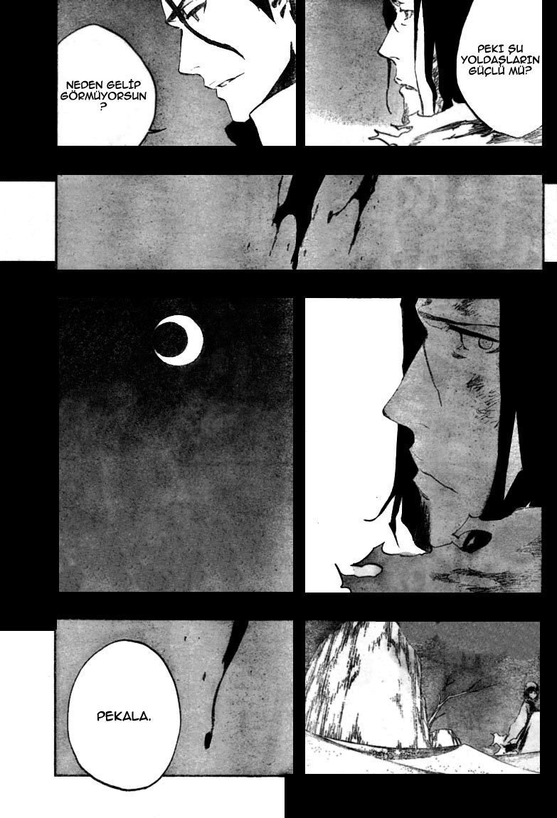 Read Bleach TR Manga Online