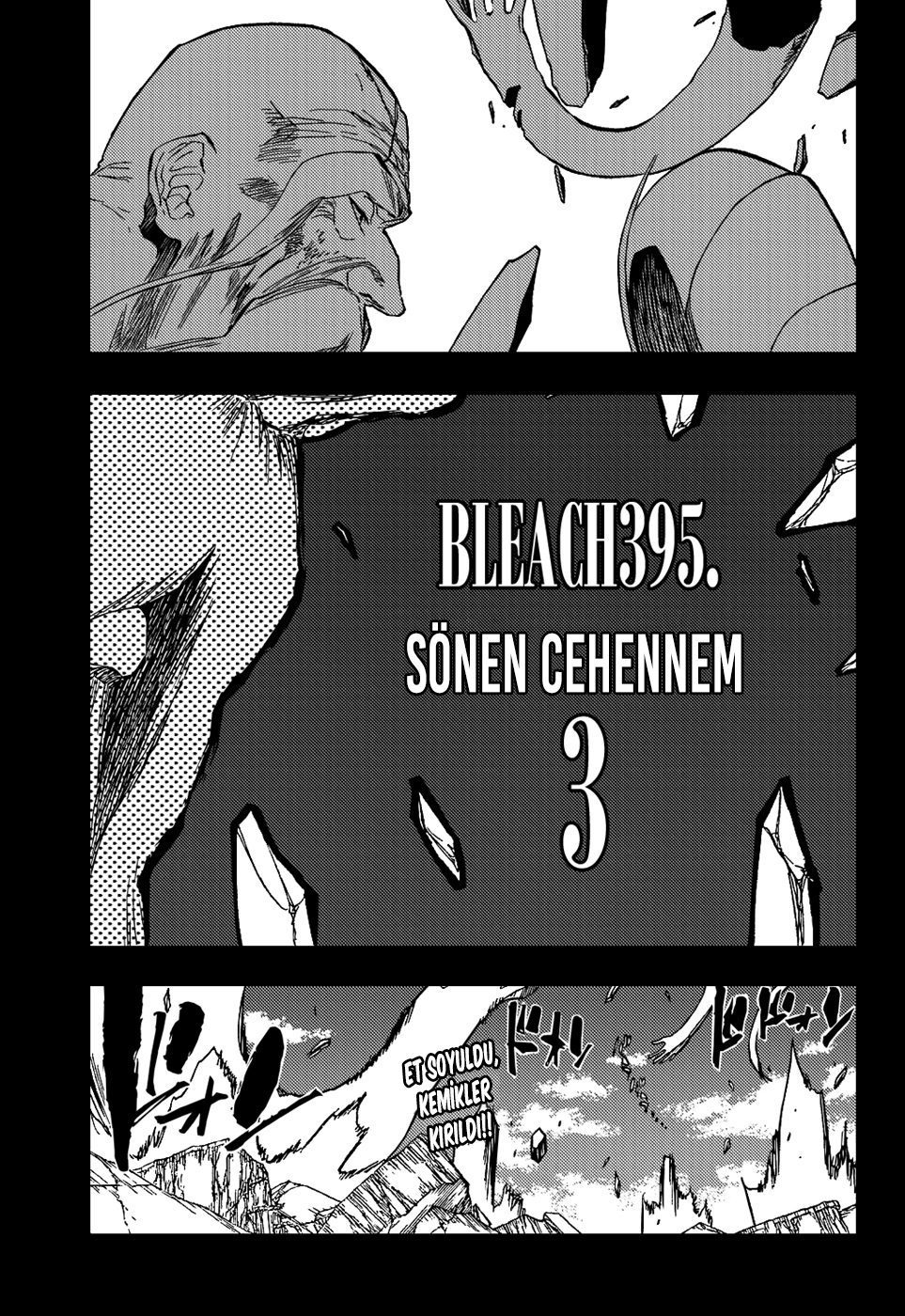 Read Bleach TR Manga Online
