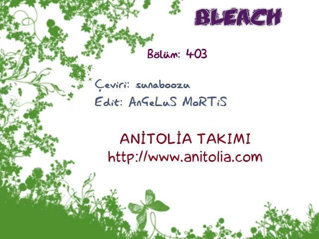 Read Bleach TR Manga Online