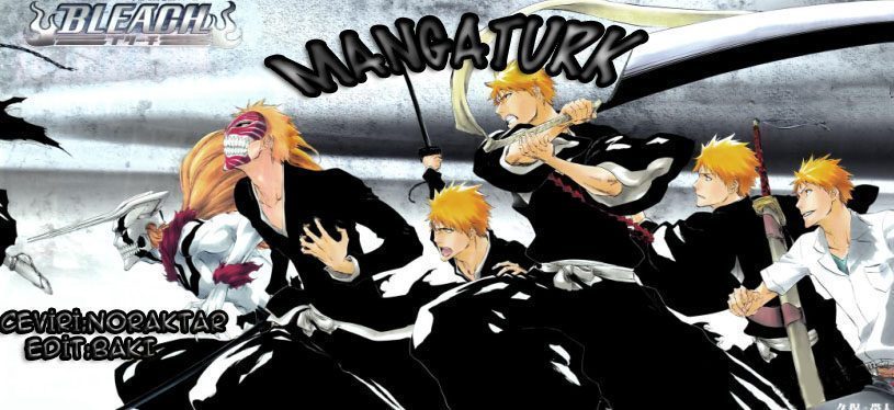 Read Bleach TR Manga Online