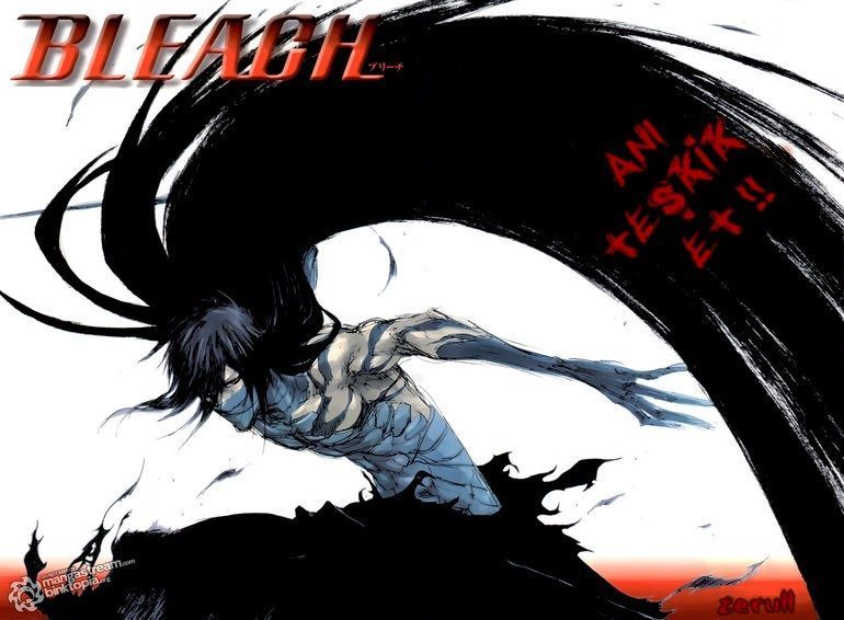 Read Bleach TR Manga Online