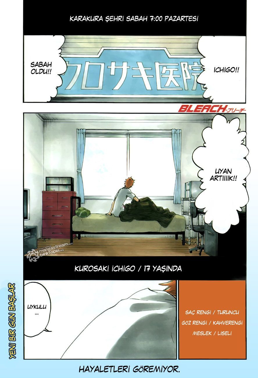 Read Bleach TR Manga Online